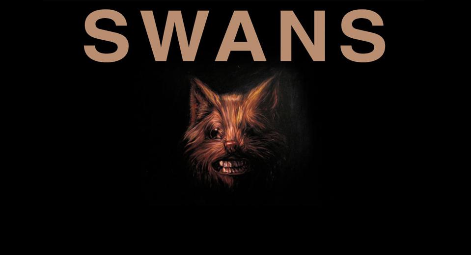 Swans 2013 (AUS)